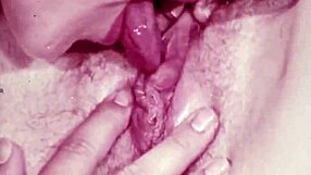 Vintage Cunnilingus Scene with Hairy Lesbian Muff Diving Action