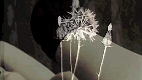 Vintage Cunnilingus Scene with Hairy Lesbian Muff Diving Action