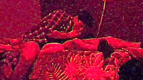 Cogiendo Con Mi Amigo Hetero Y Casado Pt4