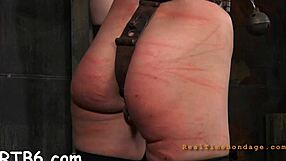 i'm into sadomasochism fucking, but i meant bondage sucking