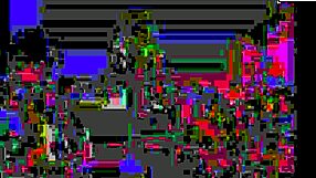 My new family 155 explores cartoon dynamics