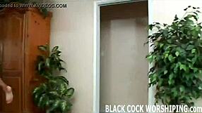 Group session with huge black cocks