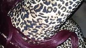 Bitch Craves My Cock So Badly