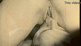 Vintage pornostalgia collection