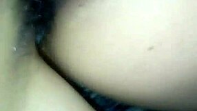 vid from november 1st, 2017 at 4:05 pm