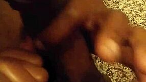 Contrasting fat bbw sucking intensely