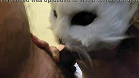 wife sucks my cock until i cum in her mouth