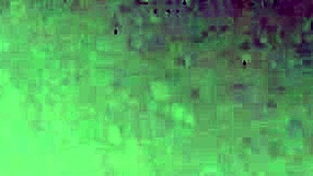 Black shemale's monster cock intrigues deeply