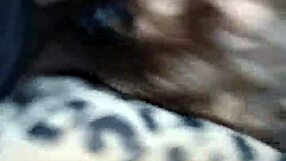 Getting Head Outdoors With Big Black Cock!