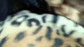 Getting Head Outdoors With Big Black Cock!