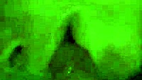 this brunette really knows how to suck dick