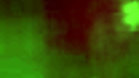 this brunette really knows how to suck dick