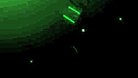 Danna, Hot Mexican Prostitute, Takes Extreme Anal Outdoors in Public