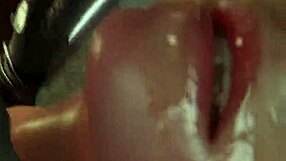 hmv avalence brings wild 3d cartoon hentai action