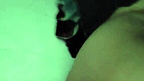 amateur couple fucks in every position