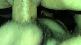 amateur couple fucks in every position