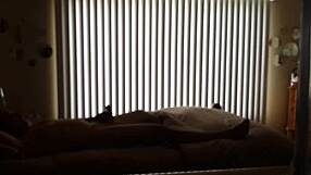 Fucking My Hot Wife—Is She Screaming Loud Enough on Hidden Cam?