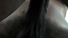 Latina Chick Hardcore Sex?