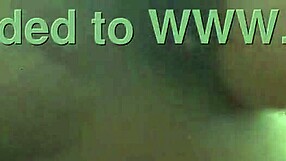 Danielle Roy sucks and jacks Cody in foreplay.