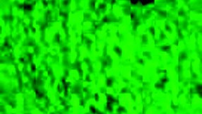 sweet friend relaxes with redhot fox in homemade doggystyle session