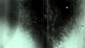 two centuries of vintage porn explored