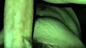 amateur couple fucks in every position