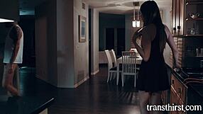 my ts stepsis got drilled in the kitchen for some favors