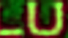 Petite french slut ava courcelles gets bbced by joss lescaf and comes all over cock many times - 4k