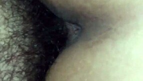 Introduction to basic video techniques in this primer.