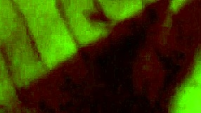 Bisexual video from March 16, 2017.