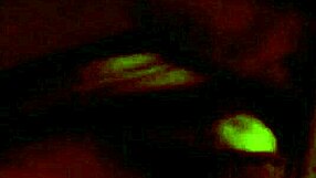 Bisexual video from March 16, 2017.