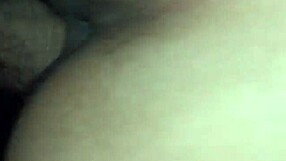 Introduction to basic video techniques in this primer.