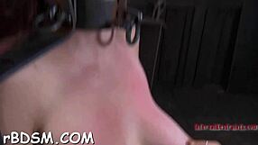 Caged Hotty Begs For Castigation