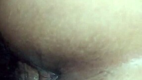 Introduction to basic video techniques in this primer.