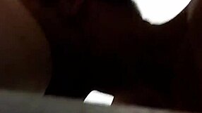 Bold Performance On November 5, 2017