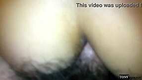 홈메이드 라티나 첫 애널, 털난 와이프 더 해달라고 애원