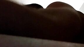 Bold Performance On November 5, 2017