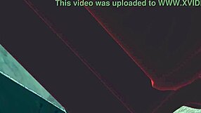 pink cat touhou animation with big tits