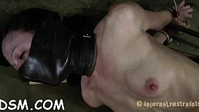 t of babes hot assets get fucked bent over