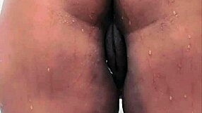 mulata prepares big ass for anal fucking! oral and squirting action!