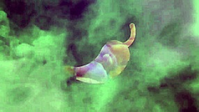 i masturbate to release bus company anger