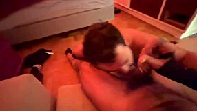 bearded man in a series of videos on red