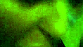 wife sucking my big cock while i watch wwe