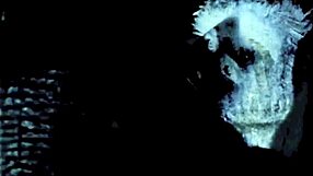 Vintage Pornostalgia Collection