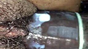 Trim Ef3497Dd-C05D-41D8-Bd74-A8939509Bd21 Mov