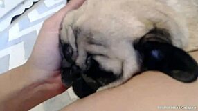 Briana lee webcam show