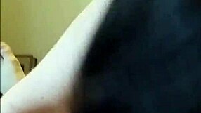 Sexy Brunette Kiera Costa Delivers Stunning Pov Blowjob Performance