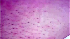 Latina Sister-In-Law Begs For More Blowjob