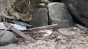 orgie sălbatică pe plajă cu toți privind acțiunea