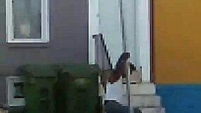 group orgy in night club with dancing, striptease, and clothes ripped off